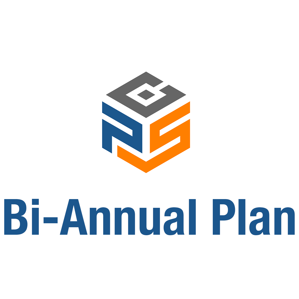 Bi-Annual Plan